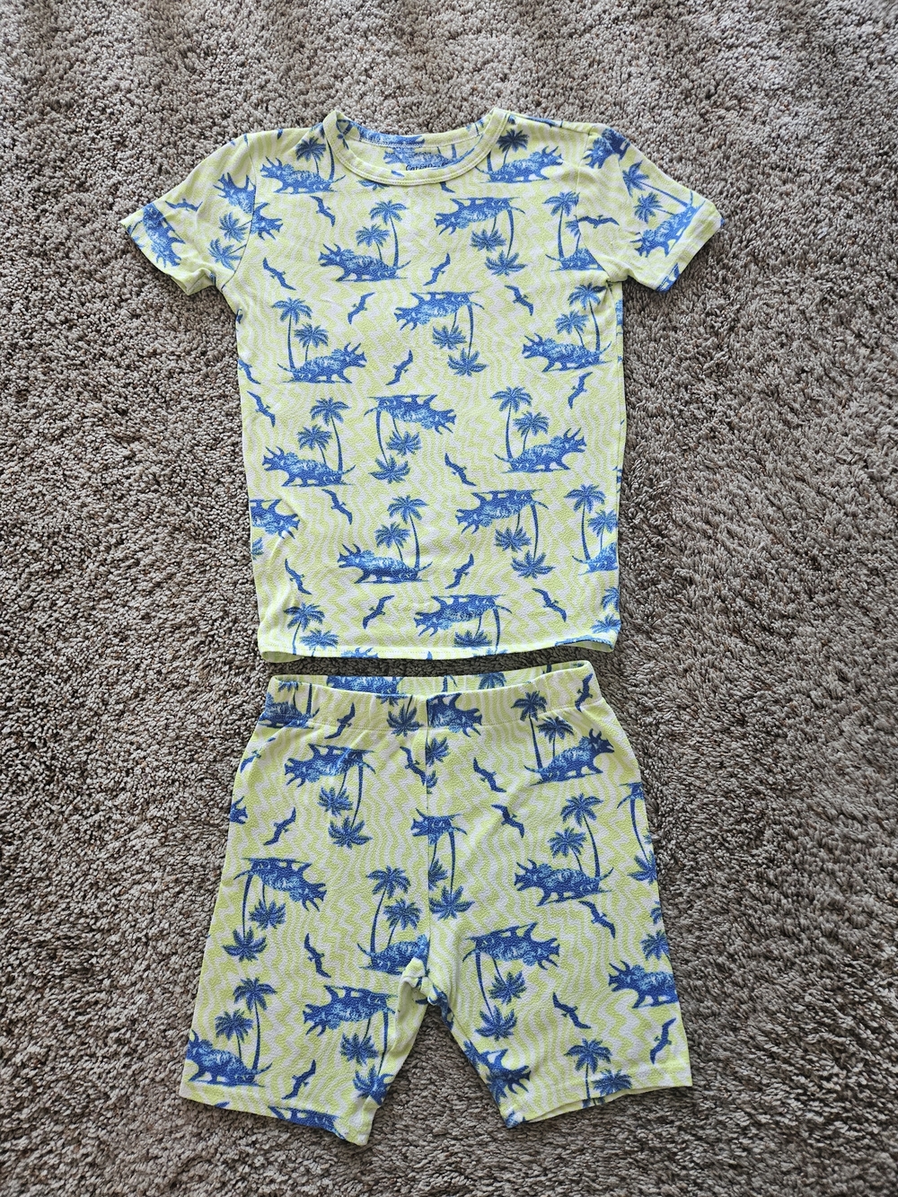 Cat & Jack Tropical Dino Pajama Set